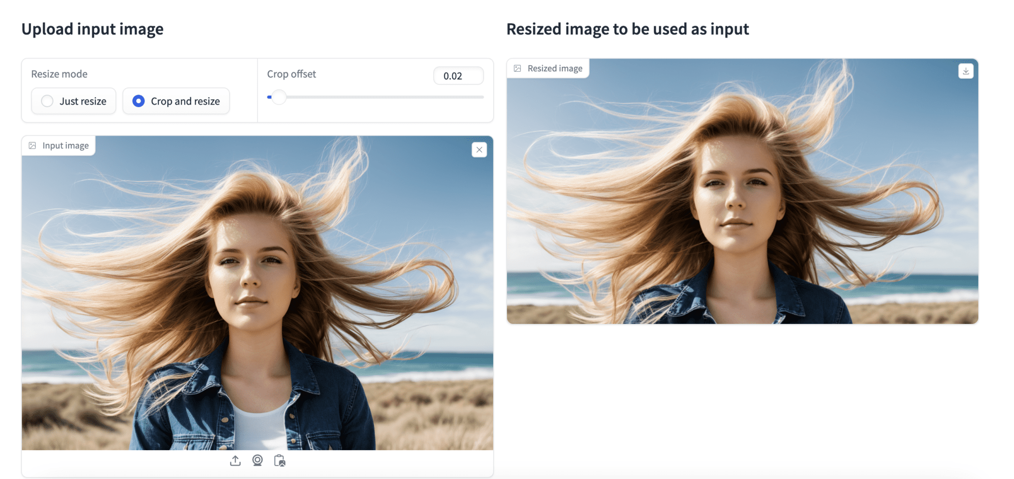 How to run Stable Video Diffusion img2vid - Stable Diffusion Art