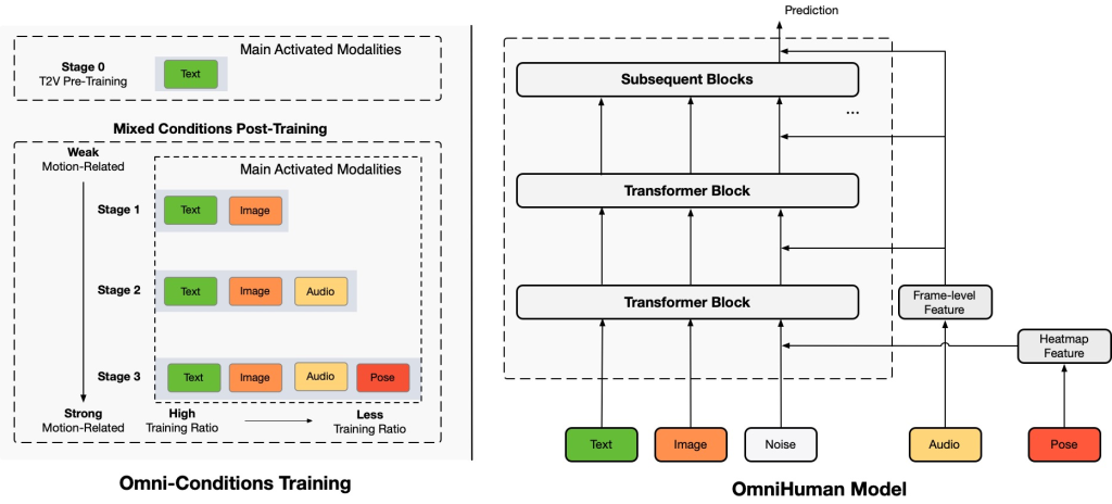 OmniHuman model architecture